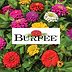 12 Places to Buy Plants and Seeds Online