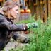 How to Prune Herbs (And Why You Definitely Should)