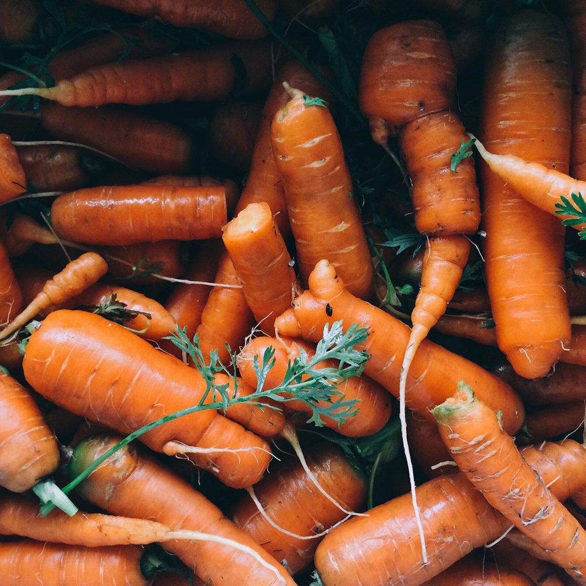 Baby carrots