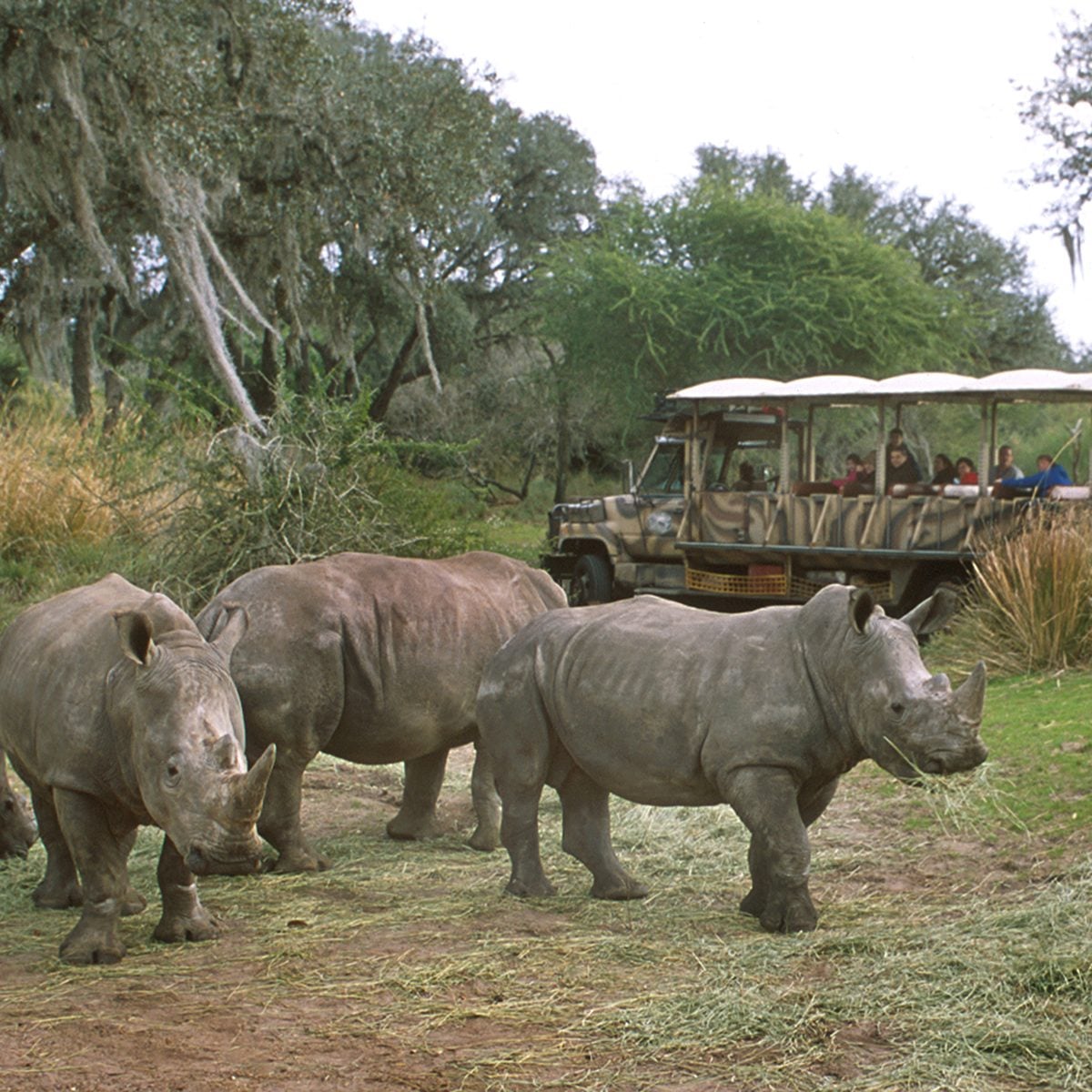 As visitors pass by on a