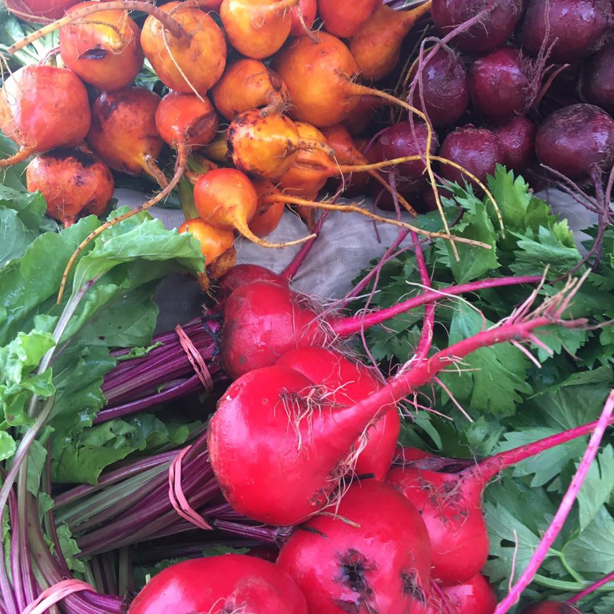 Dane County Farmers