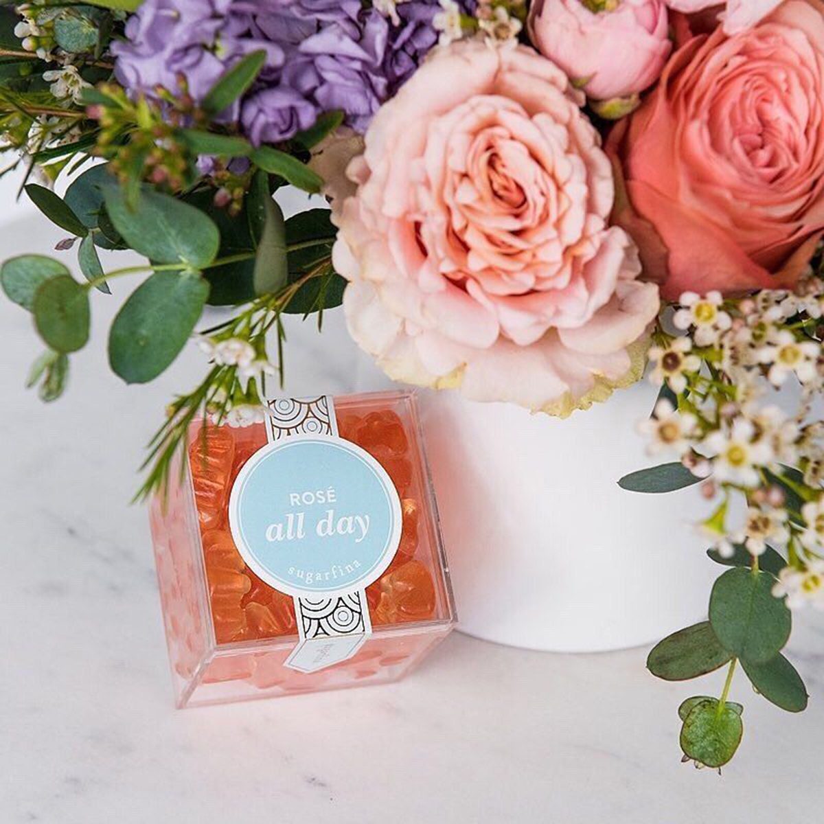 ROSÉ ALL DAY BEARS