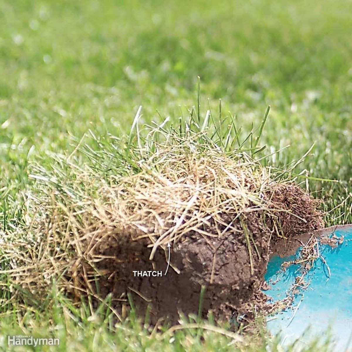 De-thatch example