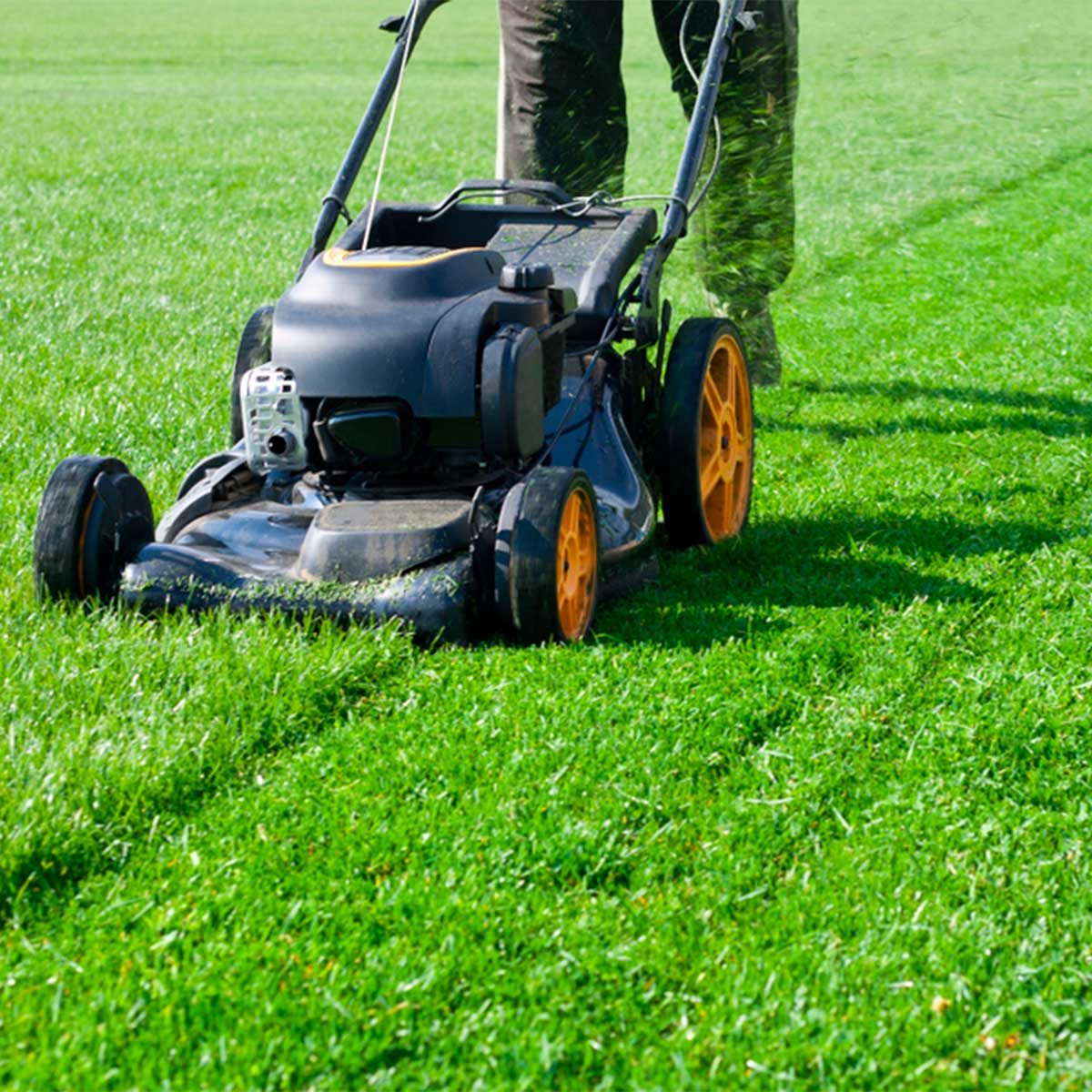 mowing lawn