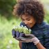 The Best Smelling Flowers You Can Plant in Your Garden