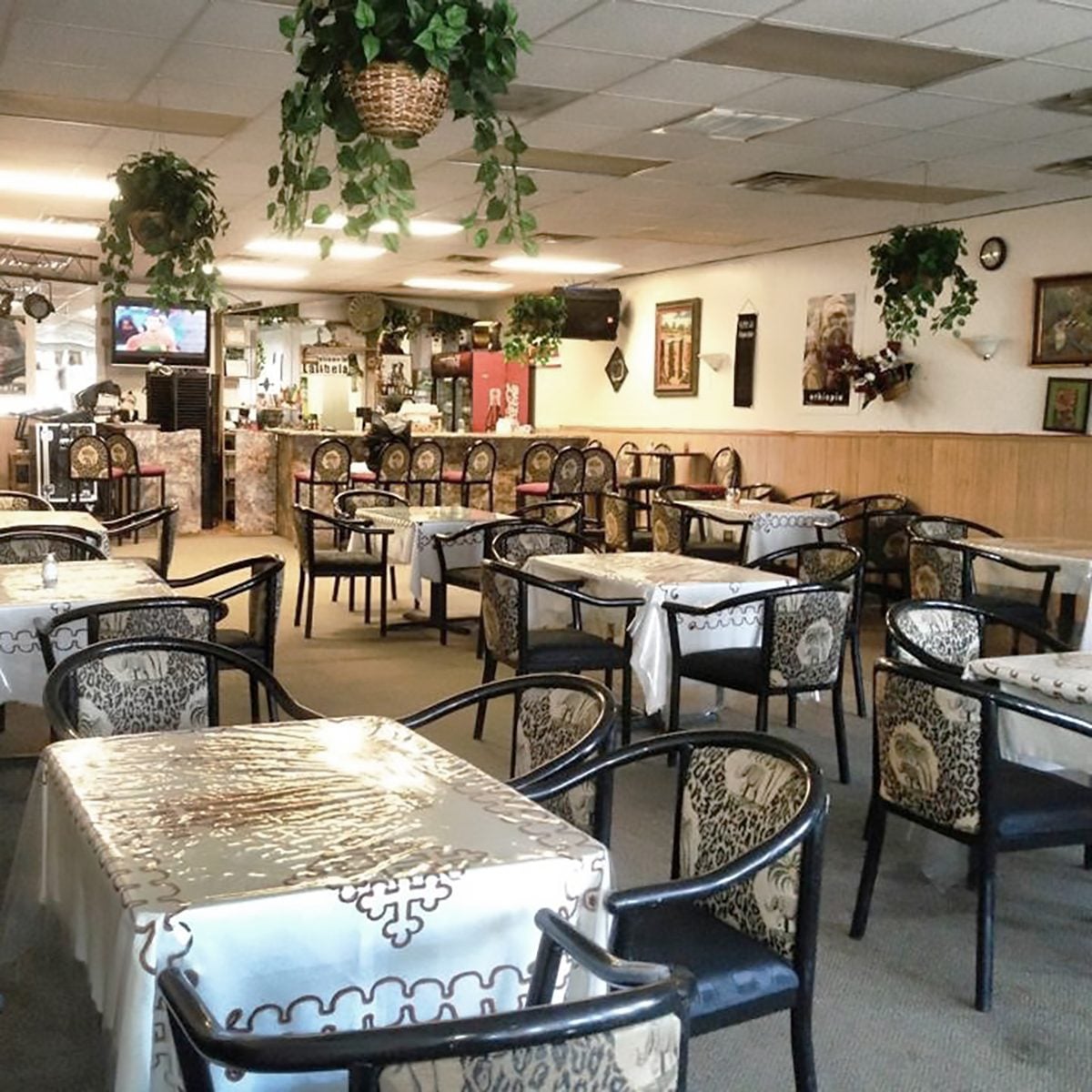 Best vegetarian and vegan restaurant in South Dakota Lalibela