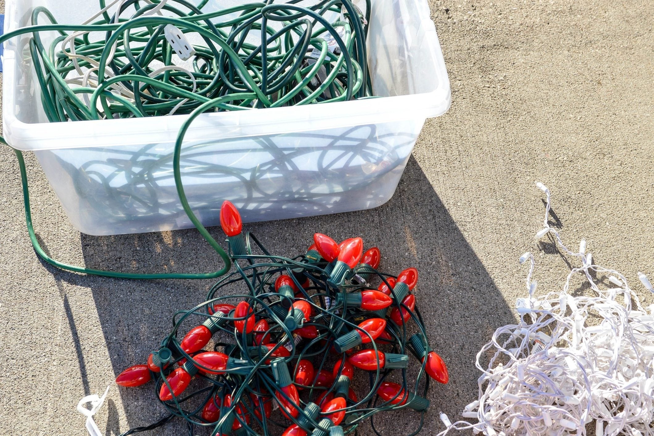 Holiday Lights sit in a storage box