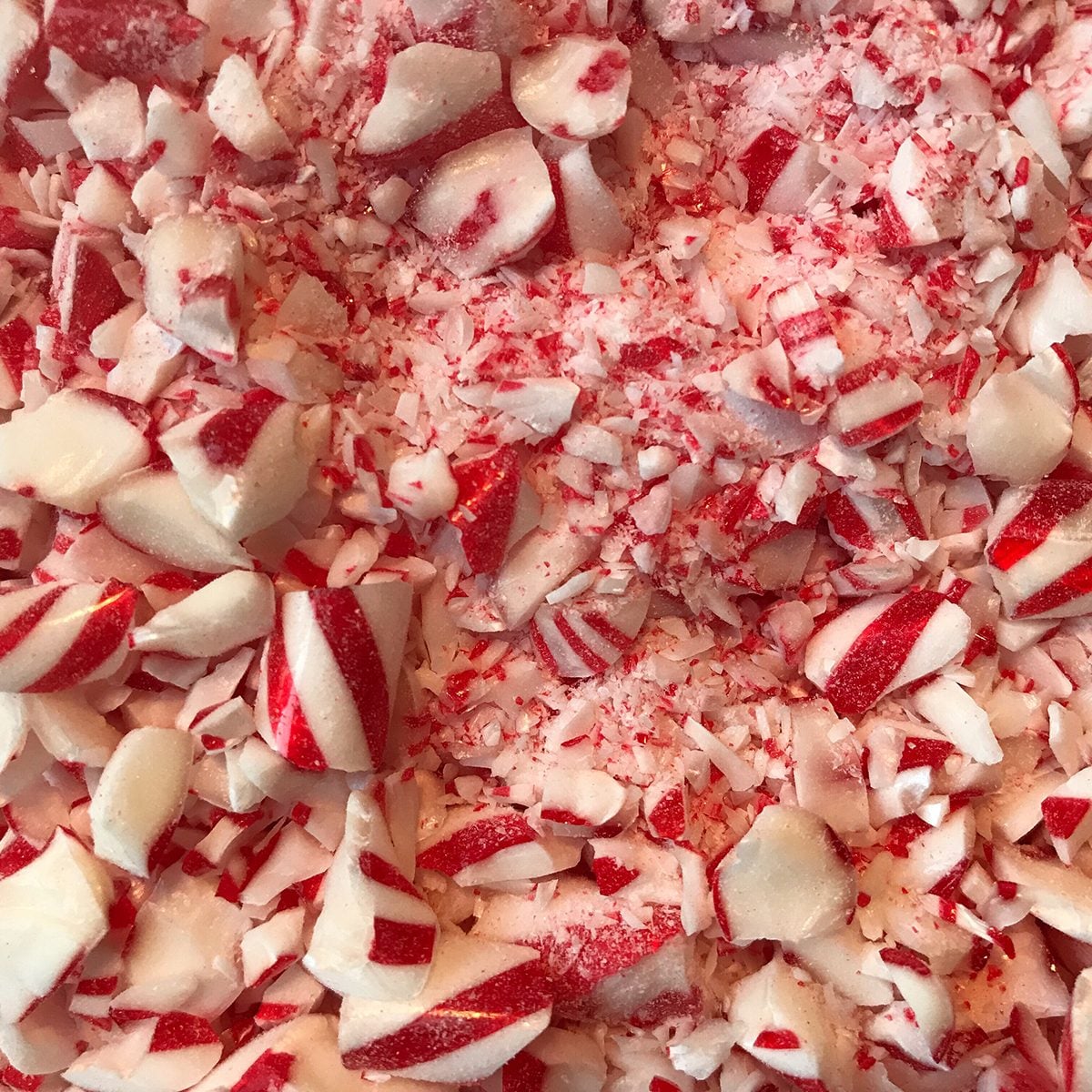 Close up of crushed peppermint candy ready to be mixed with chocolate to make peppermint bark.