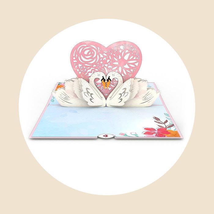 Swans Valentines Pop Up Card