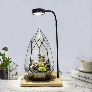Ncyp Tabletop Natural Wood Board Led