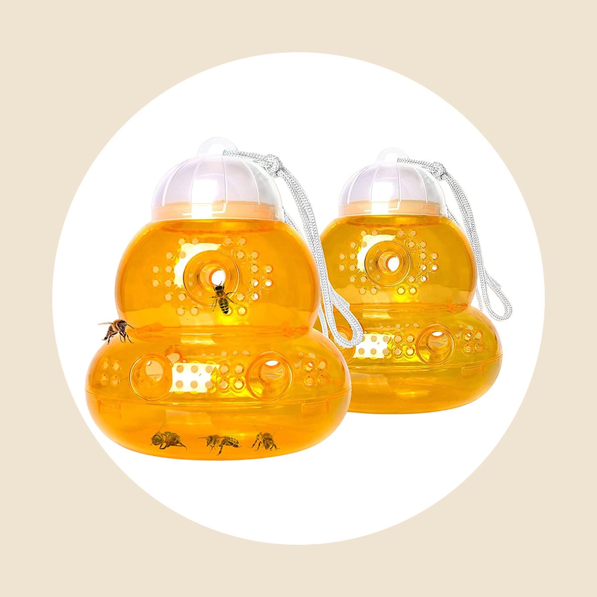 Wasp Trap
