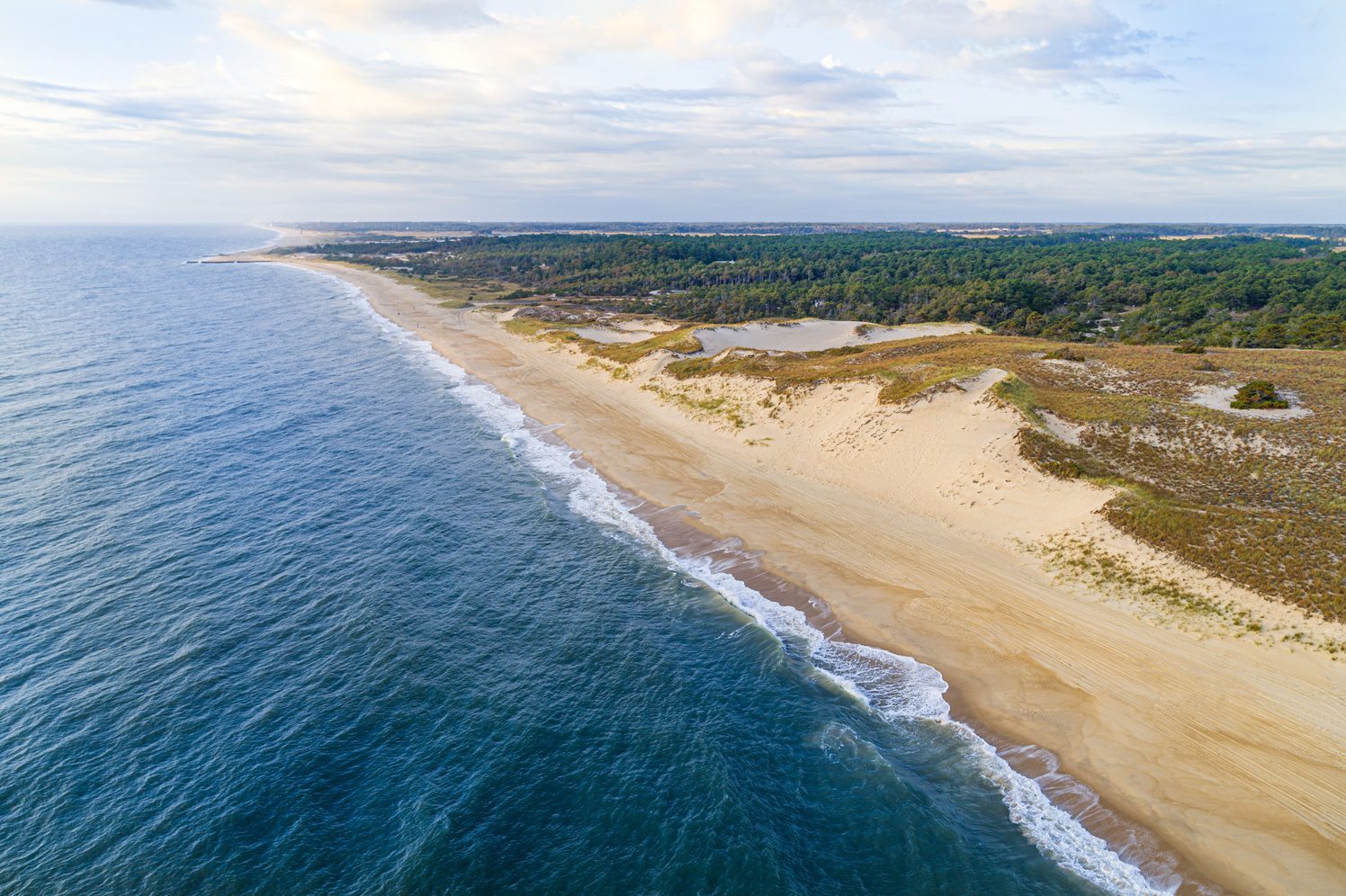 Cape Henlopen State Park Delaware
