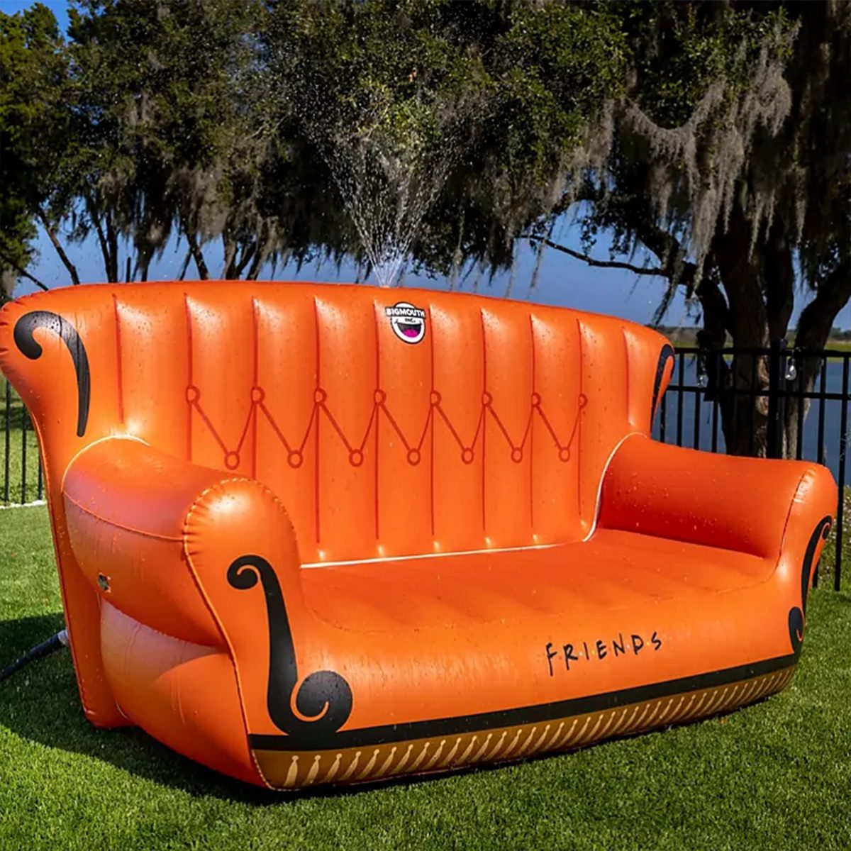 Friends Couch Sprinkler