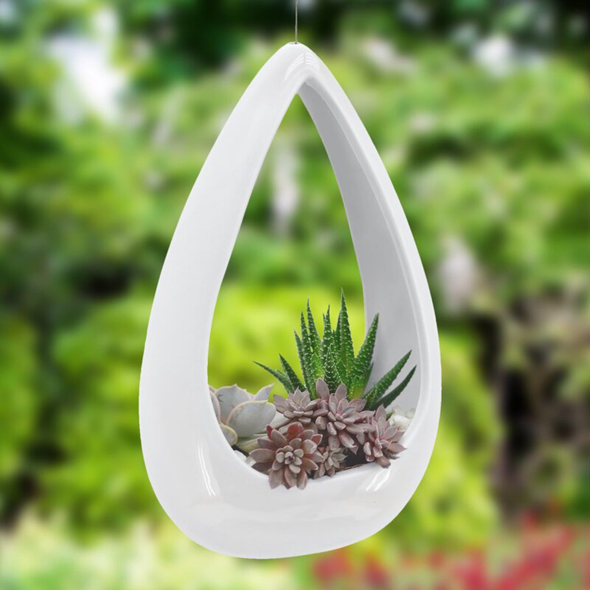 Orren Ellis Farmington Hanging Planter