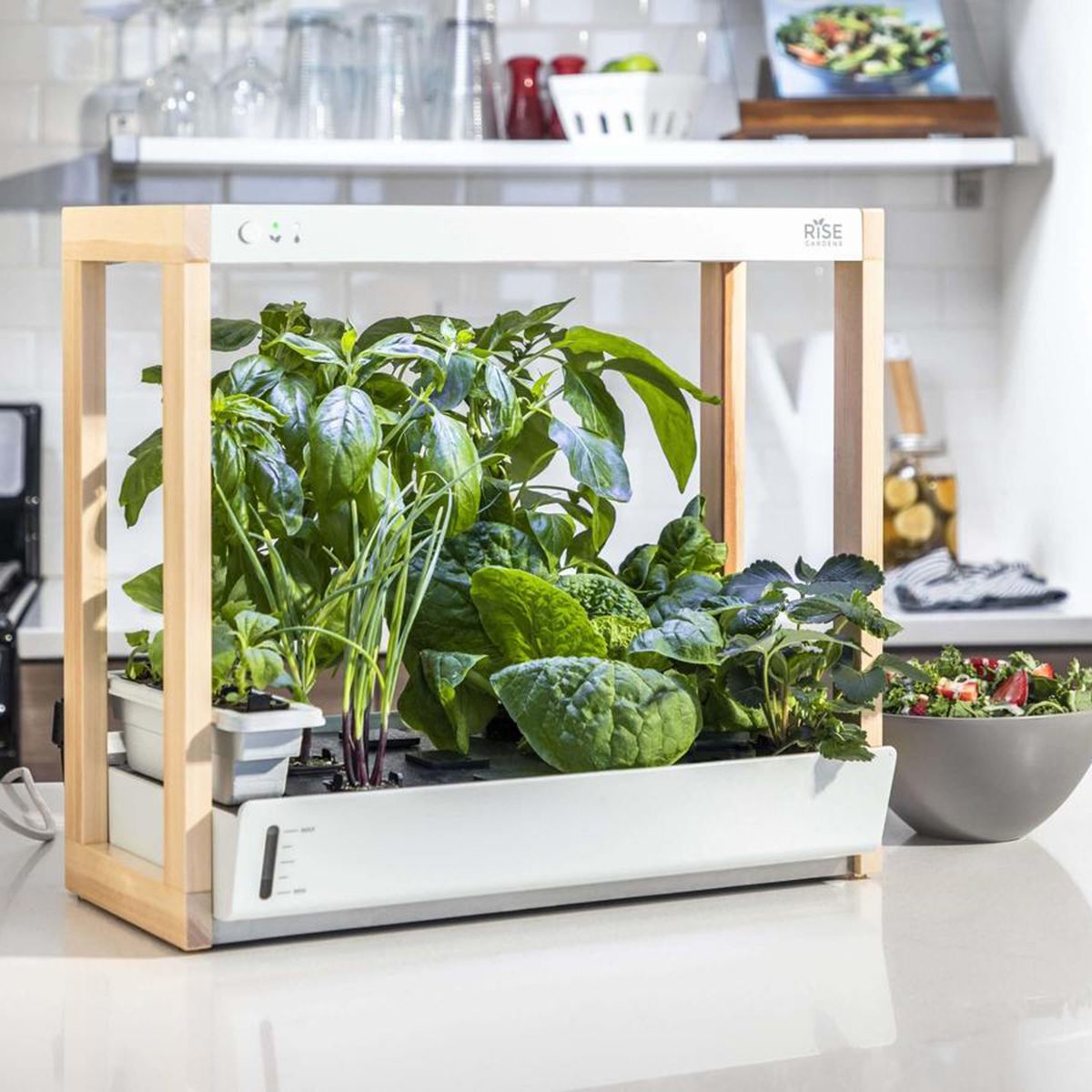 houseplants for sale Personal Indoor Garden