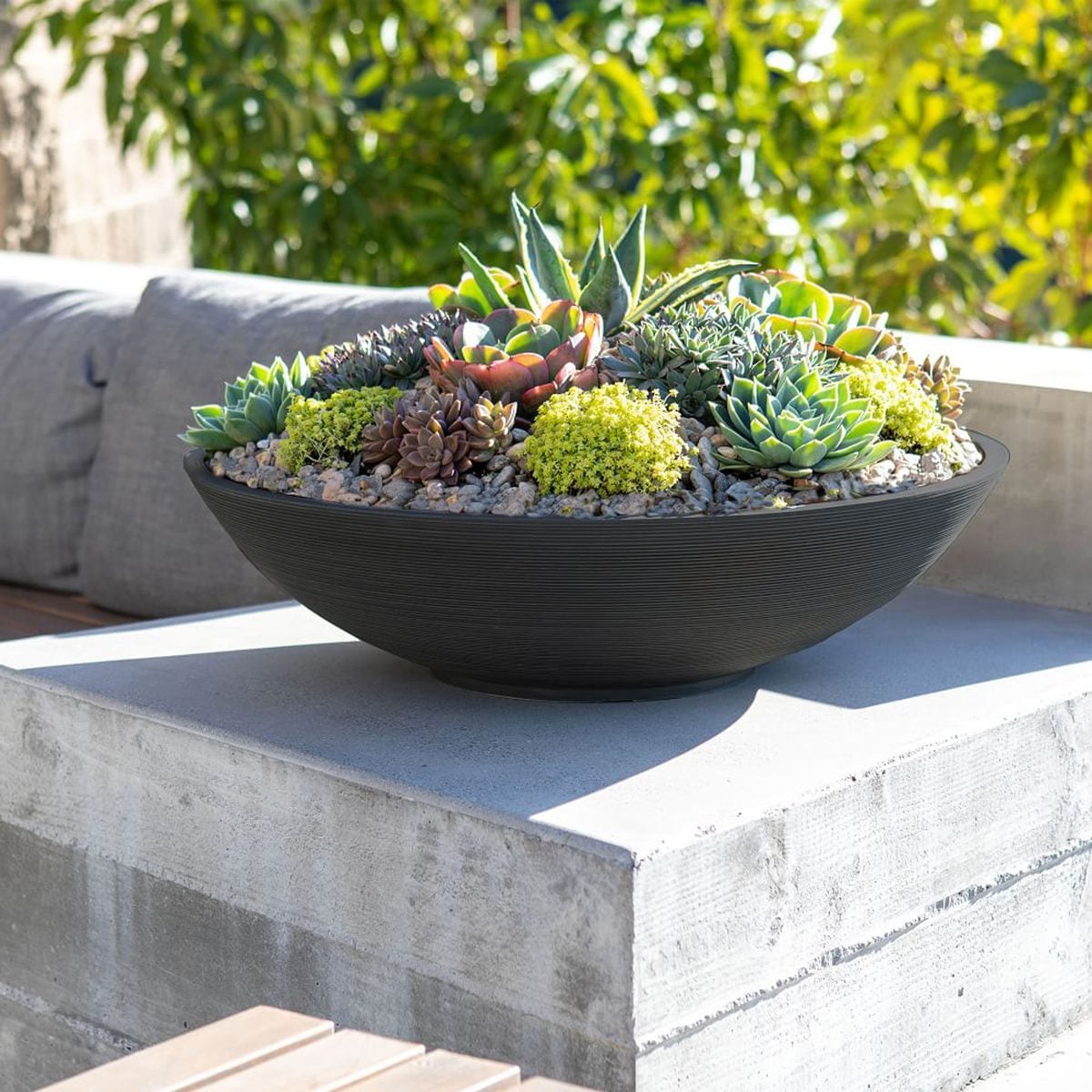 Veradek Lane Bowl Planter Set Of 2 Z
