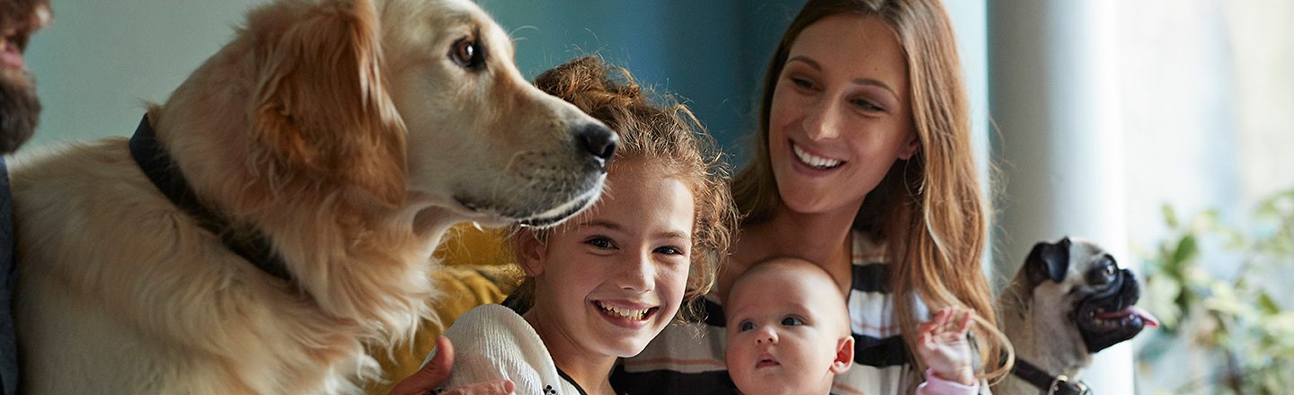 Family Sitting Together In Sofa With Their Dogs