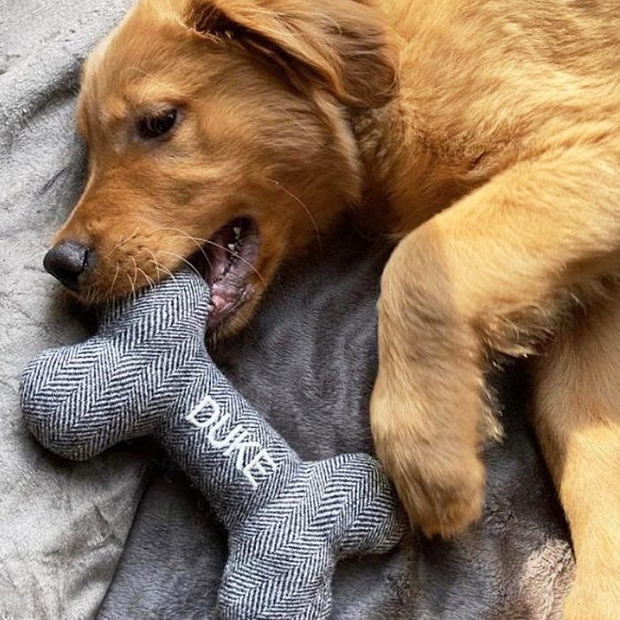 Personalized Dog Toy