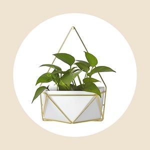 Succulent Wall Geometric Hanging White Gold Project Ecomm