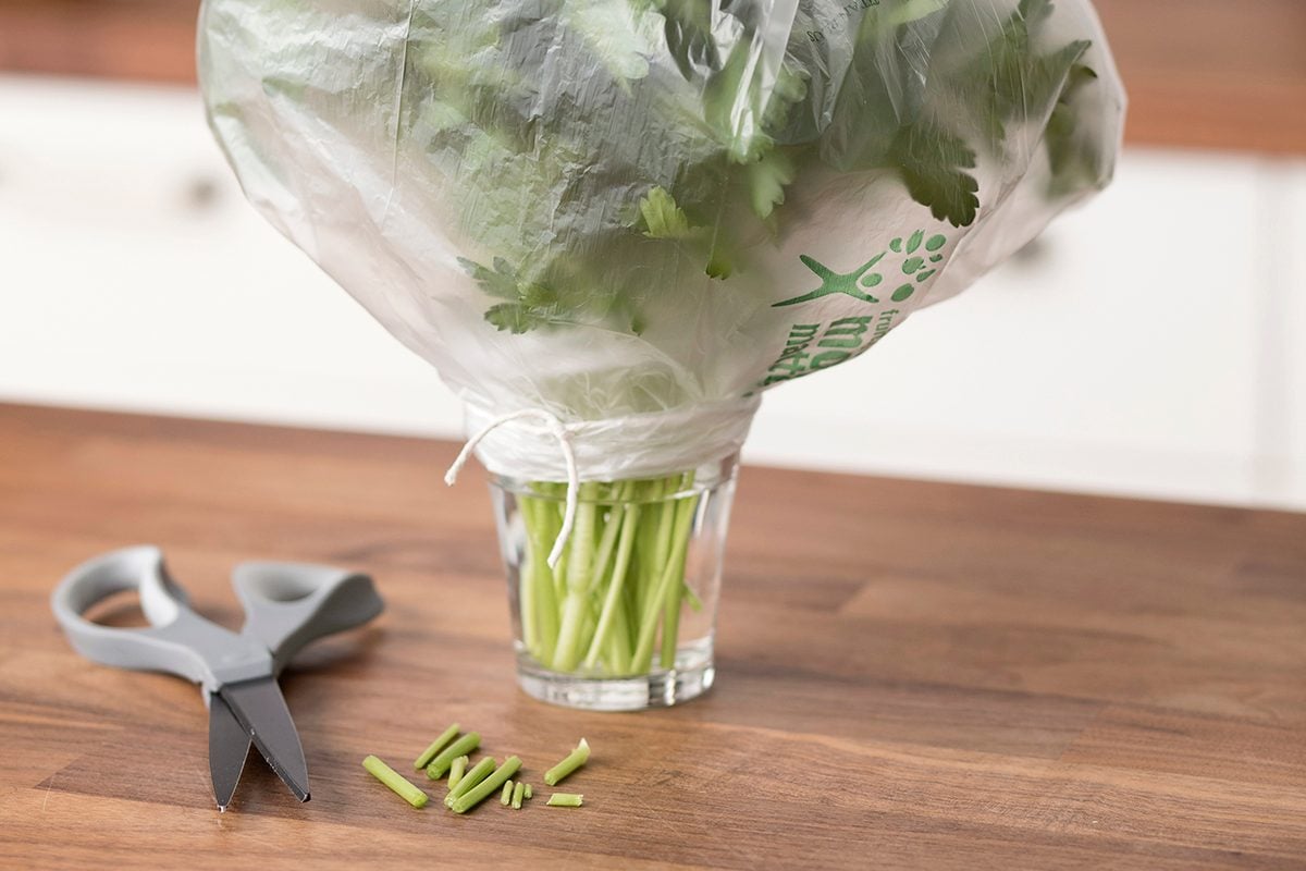Parsley