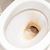 How to Clean a Toilet