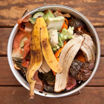 Fruit And Vegetable Scraps 2