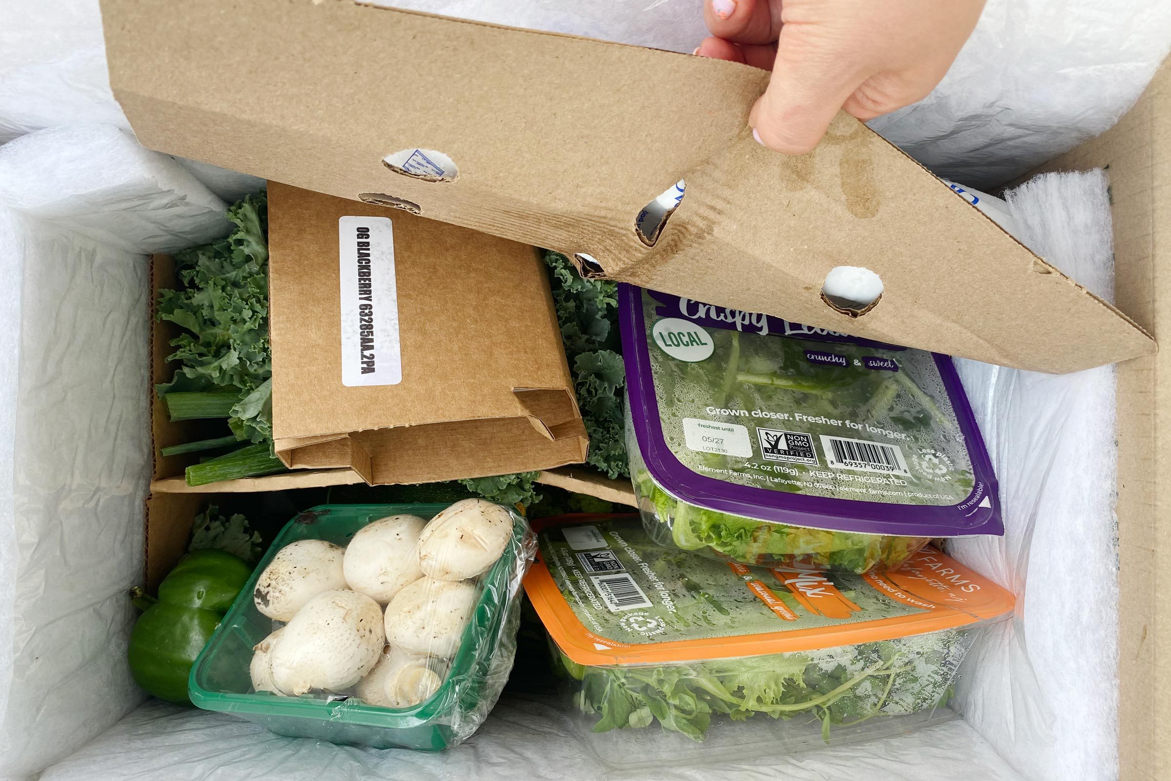 food inside a Misfit Market Box