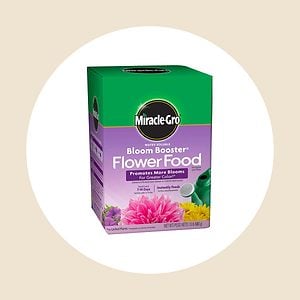 Miracle Gro Bloom Booster