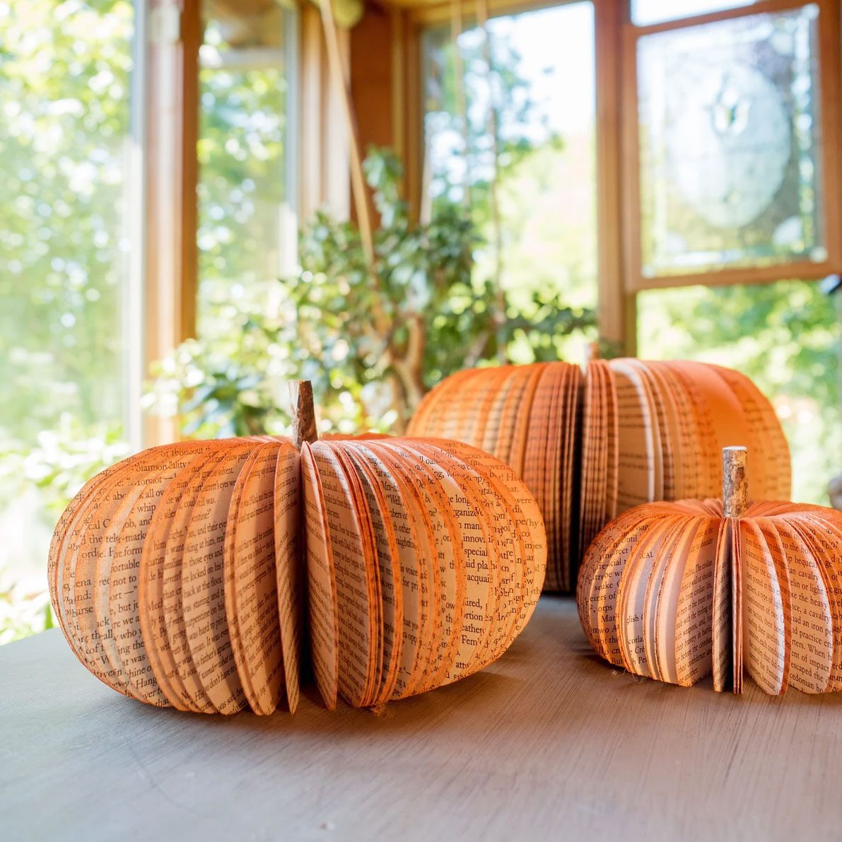 Book Pumpkins