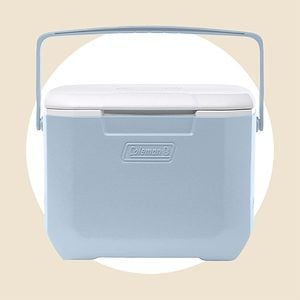 Mini Cooler