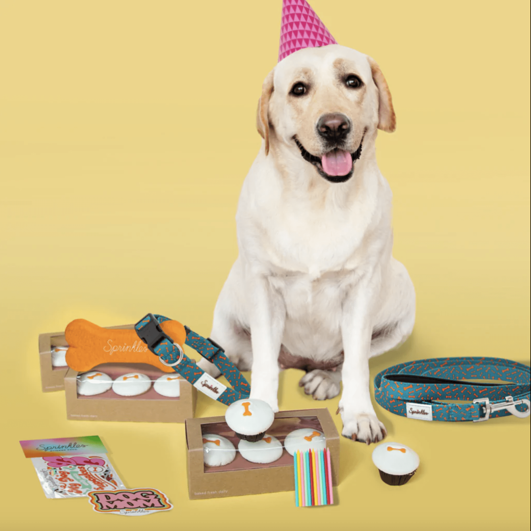 Dog With Spinkles Cupcakes