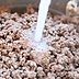 Should You Rinse Ground Beef?