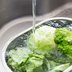 How to Fix Wilted Lettuce