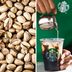 I Tried Starbucks' New Pistachio Cream Cold Brew and It's Kinda Nutty