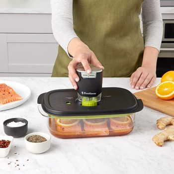 Foodsaver Fs2160 Multi Use Handheld Vacuum Sealer And Marinator