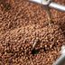 The Best City for Coffee Was Just Announced—and It's Not Seattle