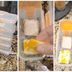 Pack Snacks Like the Ultimate Pro With This Viral Hack