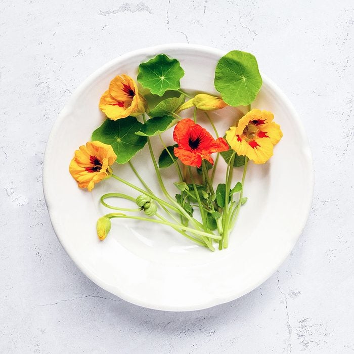 Nasturtium