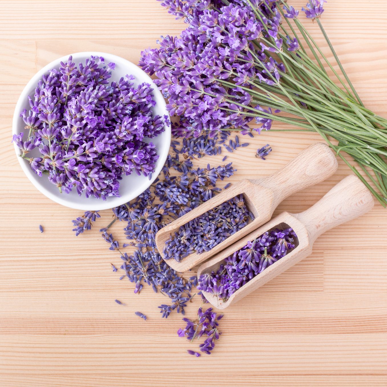 lavender flowers