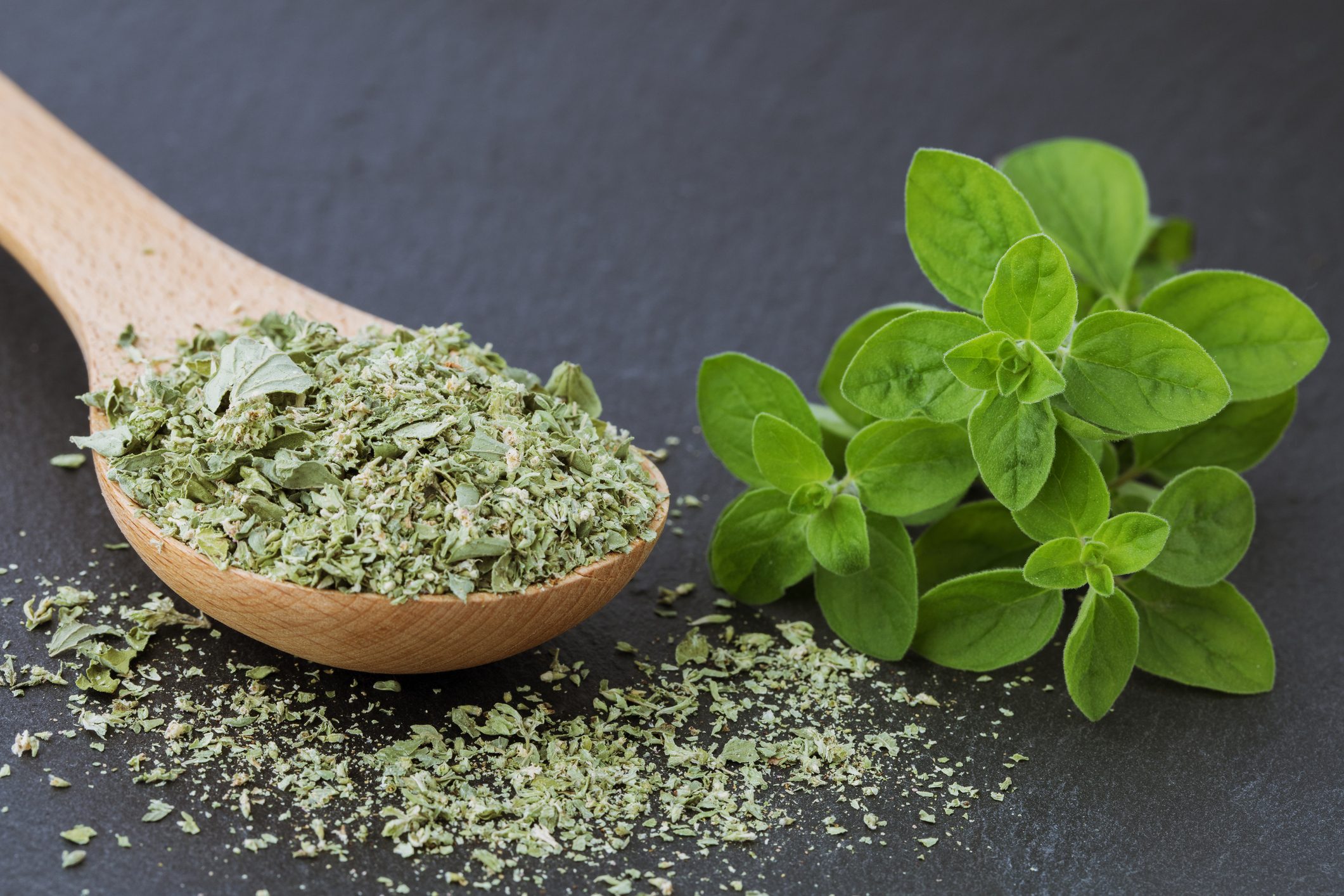 Dried marjoram on a black background, fresh marjoram o oregano leaves, close up. Macro.Food background
