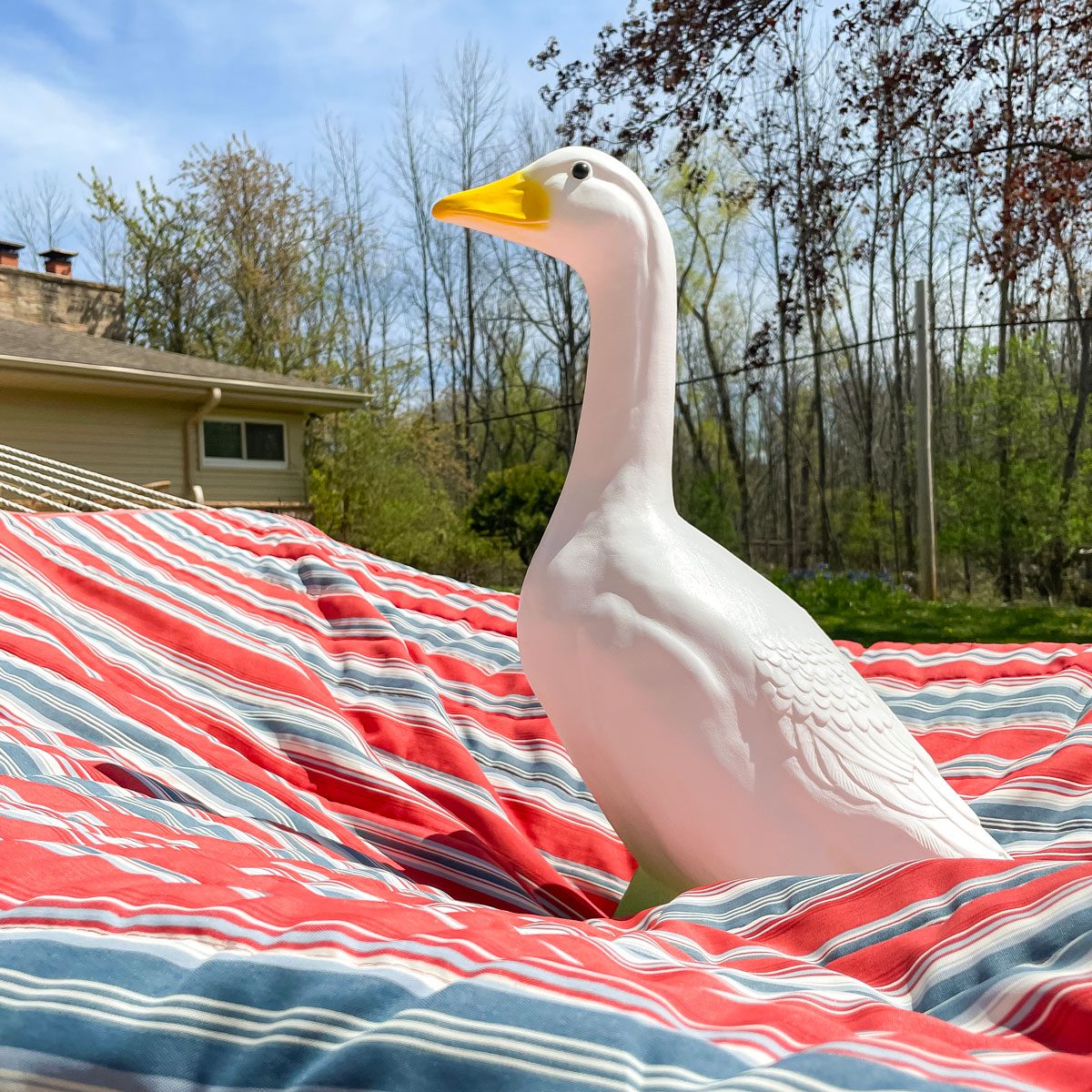 Porch Goose