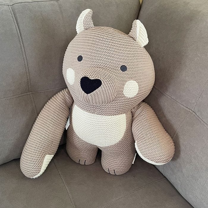 Bearaby Benji on couch