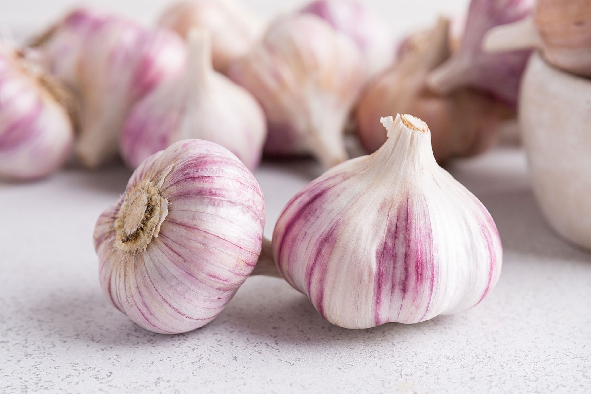 Garlic Bulbs