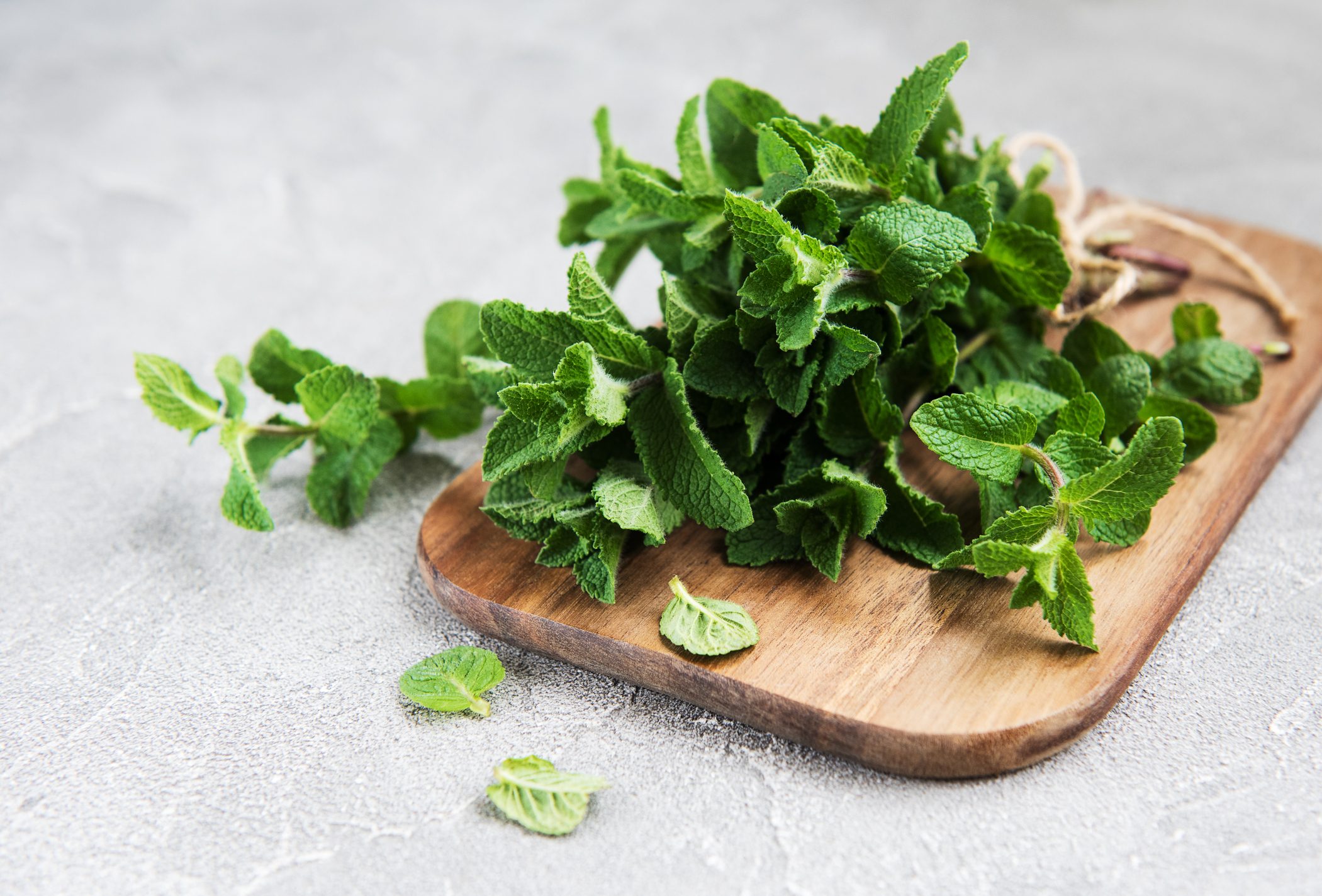 Fresh Green Mint