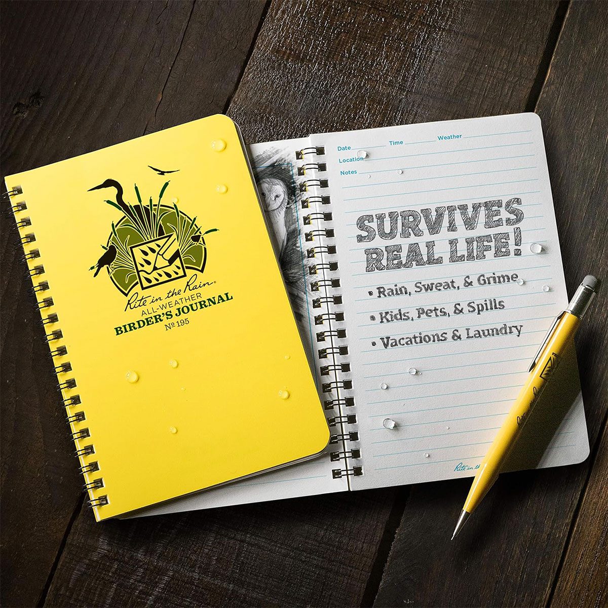 Birding Journal