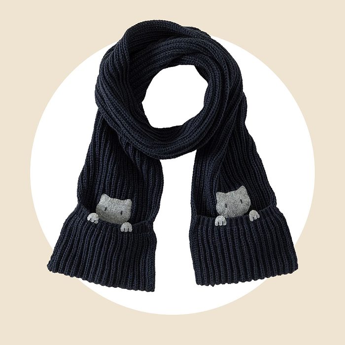 Peeking Paws Pocket Scarf