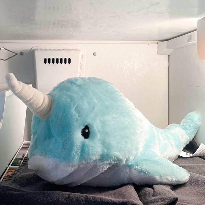 Warm Pals