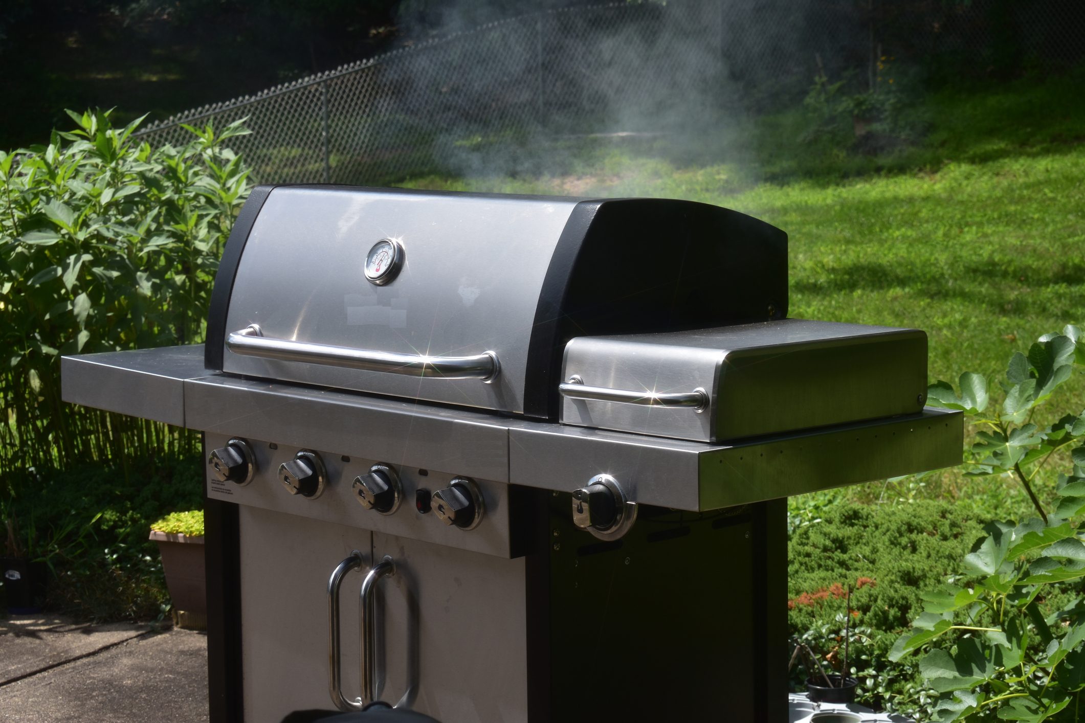 Delicious Backyard Summer Barbeque
