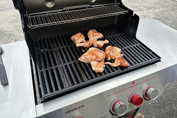 Genesis Chicken2