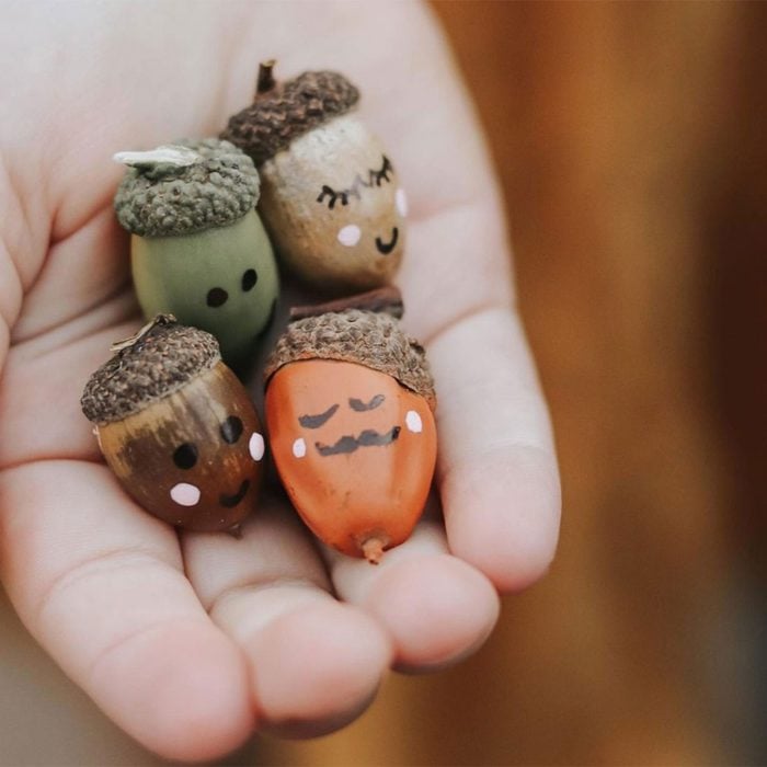 Acorn Faces